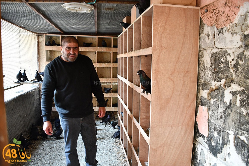 zohdi 3ashoor (3).jpeg